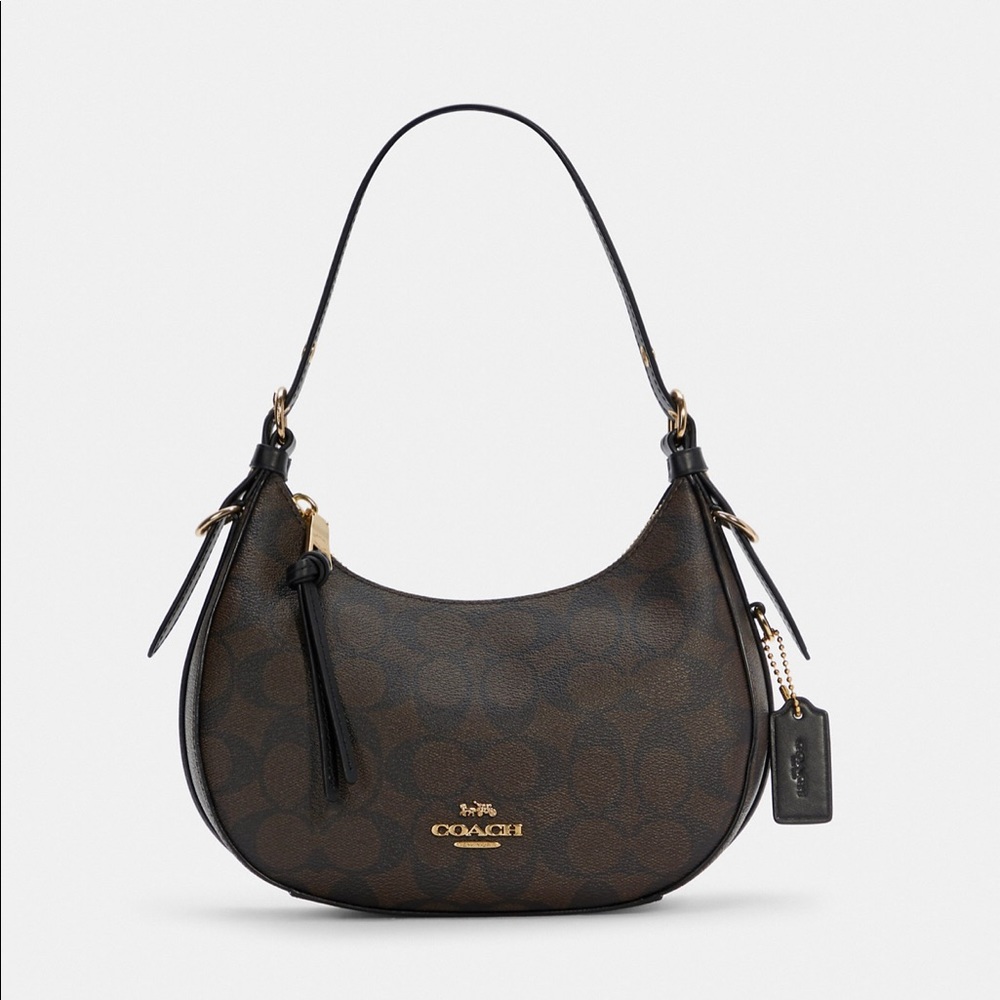 Coach Sig Kleo Hobo